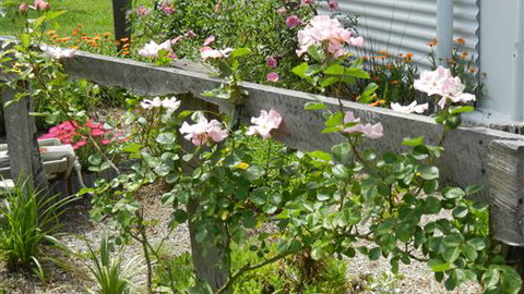 Willy's Holiday House - Accommodation Gold Coast 4