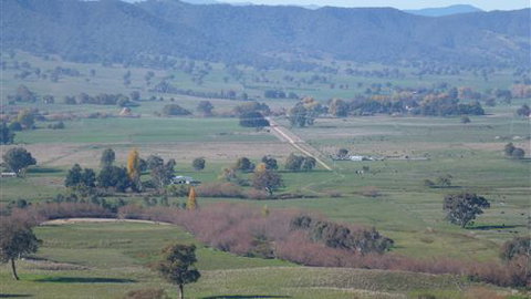 Willy's Holiday House - Accommodation Gold Coast 5