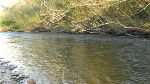 Willy's Holiday House - Accommodation Gold Coast 6