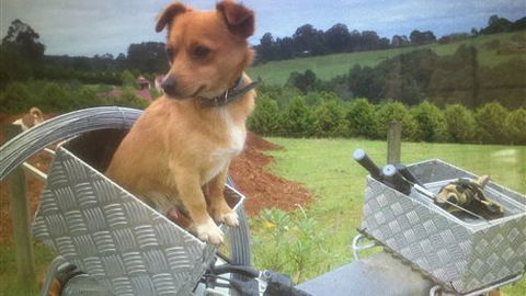 Farm Accommodation - Accommodation Gold Coast 1