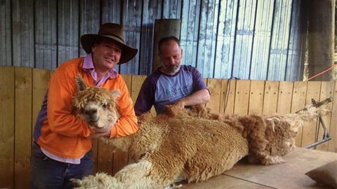 Farm Accommodation - Accommodation Gold Coast 3