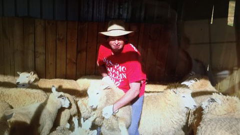 Farm Accommodation - Accommodation Gold Coast 2