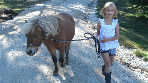 Cloud End Farmstay - Accommodation Gold Coast 2