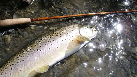 Riverview Lodge - Accommodation Gold Coast 3