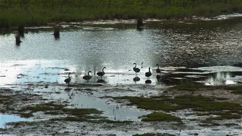 Curdievale Riverfront Lodge - Accommodation Gold Coast 6