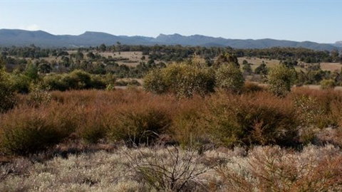 Wartook Rise Mudbrick Cabins - Accommodation Gold Coast 5