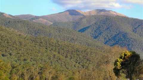 Mountain View Retreat - Accommodation Gold Coast 4