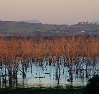 Salisbury - Accommodation Gold Coast