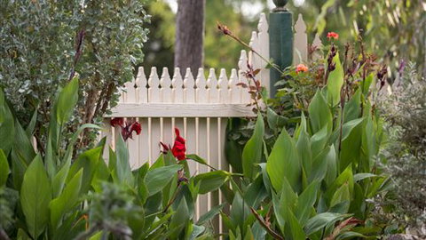 Muscat House - Accommodation Gold Coast 6