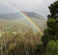 Wattletree Cottage - Accommodation Gold Coast