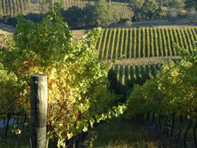 Pike And Joyce Wines - Gold Coast 4U 0