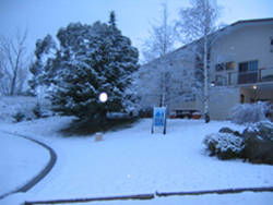 Aalberg Chalet - Accommodation Gold Coast 4