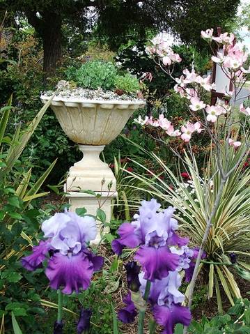 Admurraya House - Accommodation Gold Coast 2