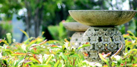 Ballina Palms Boutique Motel - Accommodation Gold Coast 2