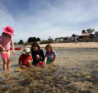 Bellarine Bayside Holiday Parks - Anderson Reserve - Accommodation Gold Coast