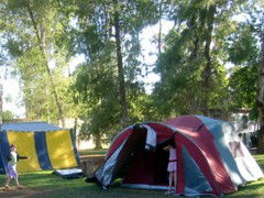BIG4 Forbes Holiday Park - Accommodation Gold Coast 2