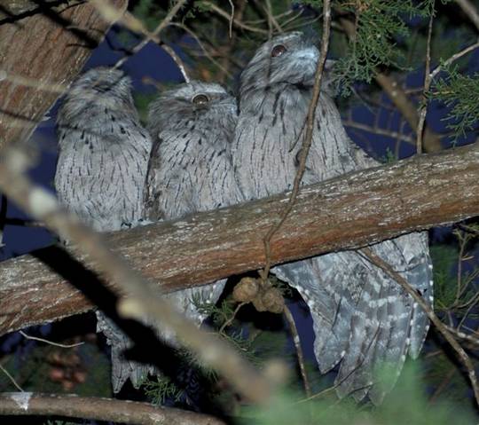  Accommodation Gold Coast