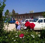 Boerbuck Country Motel  Host Farm - Accommodation Gold Coast