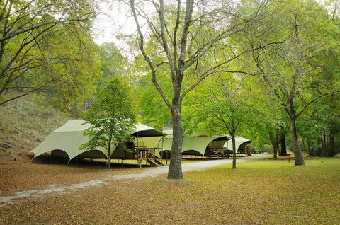 Buchan Caves Reserve - Accommodation Gold Coast 0
