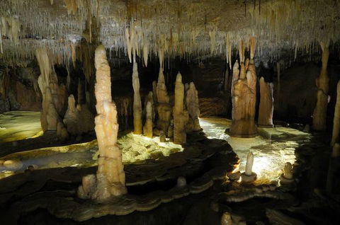 Buchan Caves Reserve - Accommodation Gold Coast 3