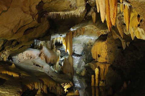 Buchan Caves Reserve - Accommodation Gold Coast 4