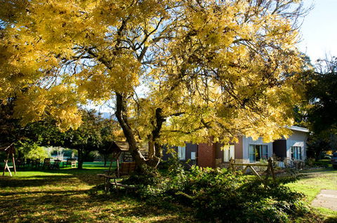 Buffalo Motel And Country Retreat - Accommodation Gold Coast 5