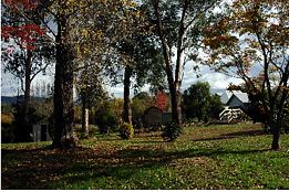 Buffalo Motel And Country Retreat - Accommodation Gold Coast 8