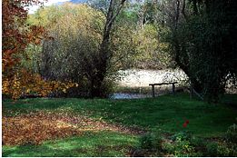 Buffalo Motel And Country Retreat - Accommodation Gold Coast 9