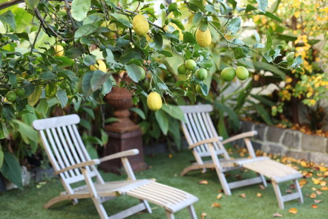 Captains Retreat B&B - Accommodation Gold Coast 1