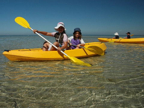 Ceduna Shelly Beach Caravan Park - Gold Coast 4U 4