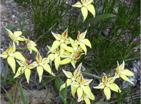 Chuckem Farmstay And Bed & Breakfast - Accommodation Gold Coast 2