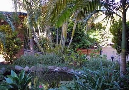 Comfort Inn Bert Hinkler - Accommodation Gold Coast 3