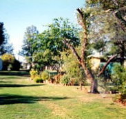 Condamine River Caravan Park - Accommodation Gold Coast