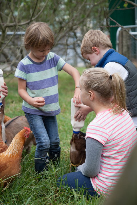 Lalee Farm - Accommodation Gold Coast 5