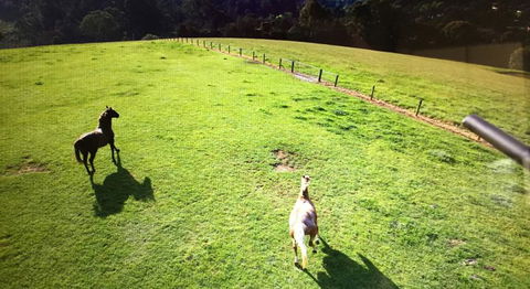 Farm Accommodation - Accommodation Gold Coast 8