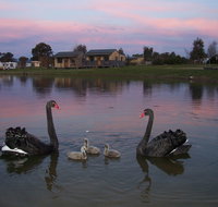 Mansfield Holiday Park - Accommodation Gold Coast