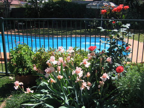 Country Apartments - Accommodation Gold Coast 4