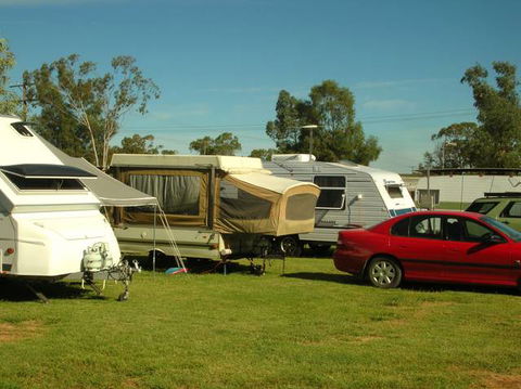 Crocodile Caravan  & Camping Park - Gold Coast 4U 0