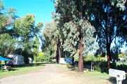 Cudal NSW Accommodation Gold Coast