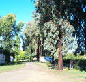 Cudal Caravan Park - Accommodation Gold Coast