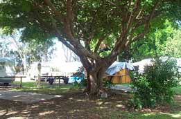 Donnybrook Caravan Park - Accommodation Gold Coast 1