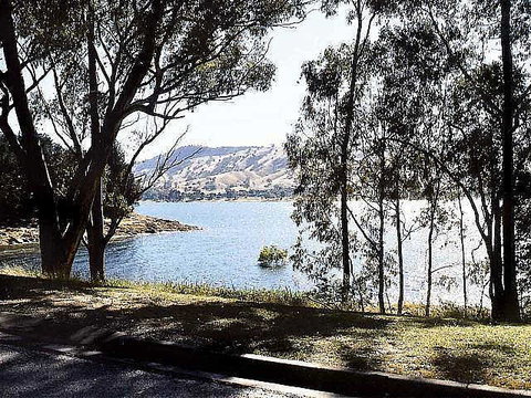 Ibis Styles Albury Lake Hume Resort - Accommodation Gold Coast 1