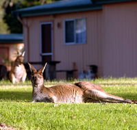 Kalgan River Chalets  Caravan Park - Accommodation Gold Coast
