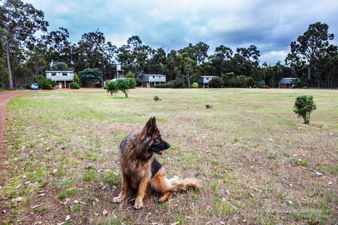Margaret River Stone Cottages - Accommodation Gold Coast 4