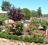 Newell Motor Inn - Accommodation Gold Coast