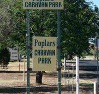 Poplars Caravan Park - Accommodation Gold Coast
