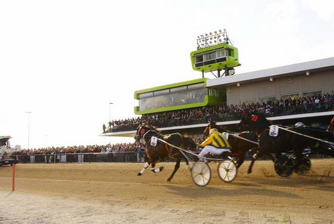 Quality Hotel Tabcorp Park - Accommodation Gold Coast 2