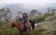 Reynella Kosciusko Rides Homestead - thumb 6