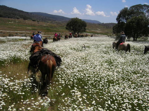Reynella Kosciusko Rides Homestead - Gold Coast 4U 7