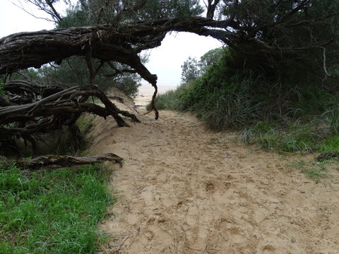 Ripples N Tonic - Accommodation Gold Coast 7